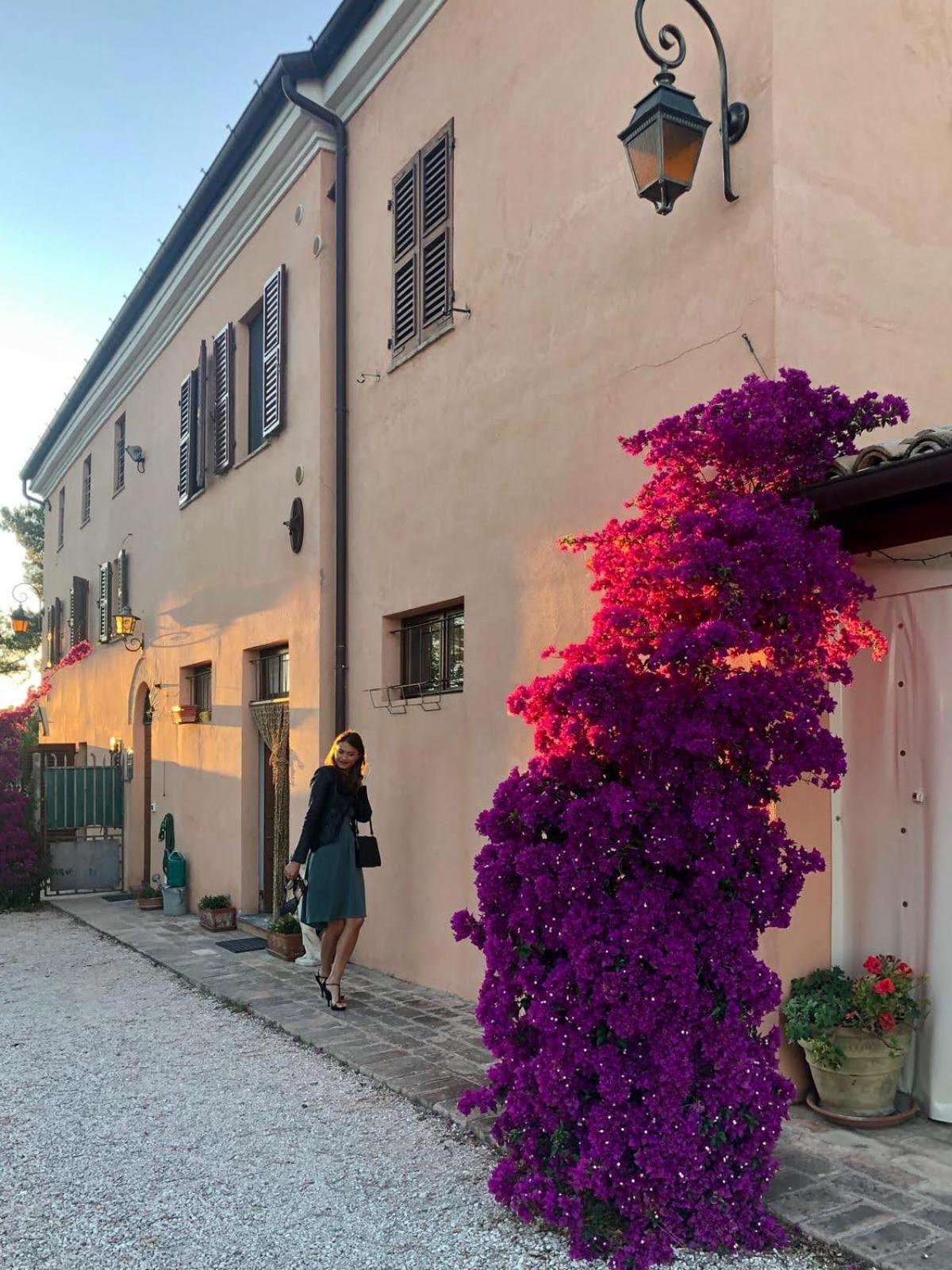 弗恩特贝拉住宿加早餐旅馆 蒙泰马尔恰诺 外观 照片